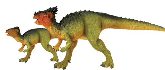 Dracorex 7 7/8in Series Dinosaurs Safari Ltd 303129 for sale online 