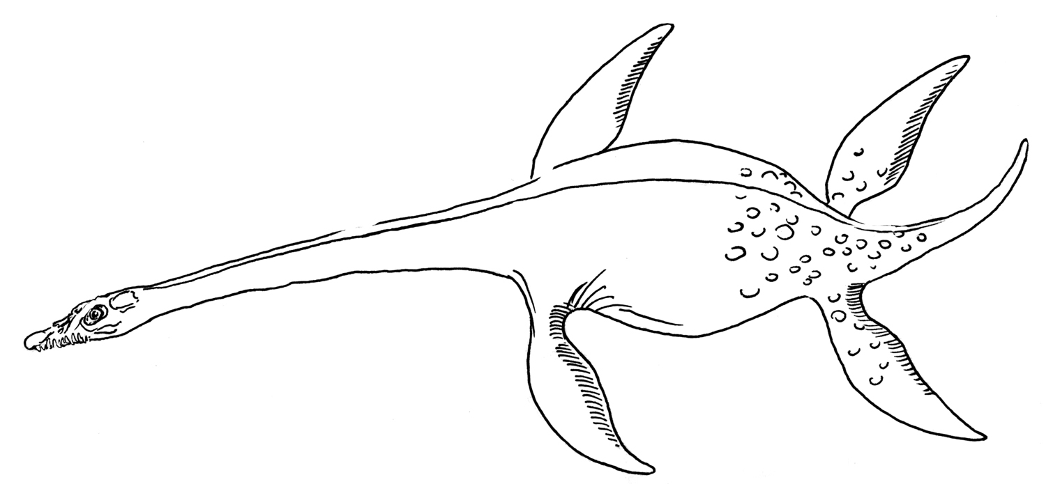 underwater dinosaurs coloring pages - photo #12