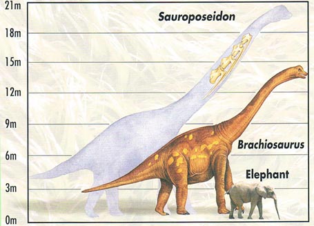 Dinosaur Size Comparison Chart Elephant