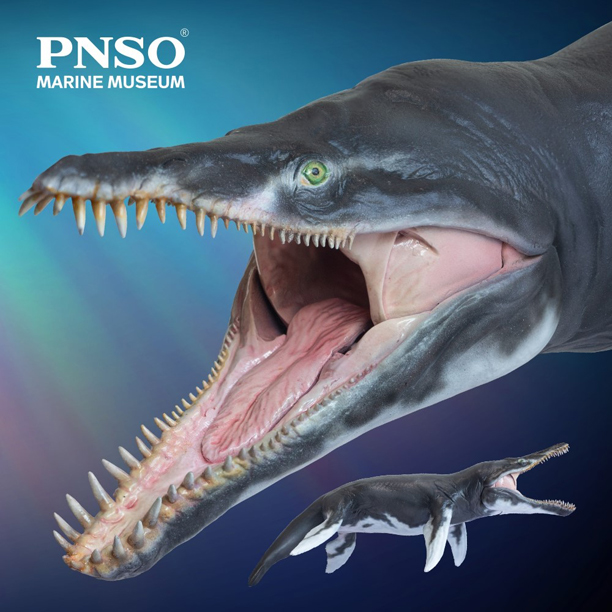 PNSO Rare Megalodon prehistoric Dinosaurs sharks Model Figure Newest Fashion 