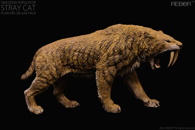 http://blog.everythingdinosaur.co.uk/wp-content/uploads/2021/09/Rebor-Smilodon-populator-Museum-Class-Replica-Deluxe-Pack-Stray-Cat-Plain-right-lateral2-web.jpg