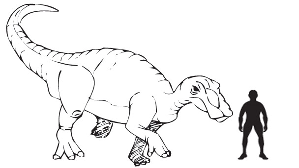 Edmontosaurus Dinosaur