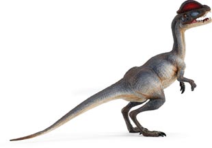 Dilophosaurus dinosaur model.