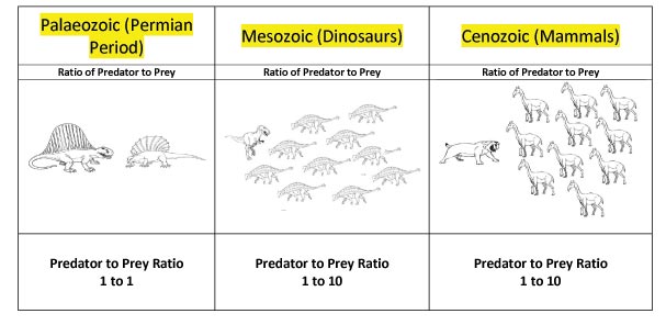Predator to Prey ratios can help determine metabolic rates.