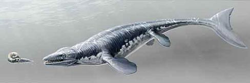 Mosasaurus with a "sharks tail"