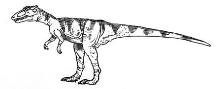 An illustration of a Triassic dinosaur Herrerasaurus.