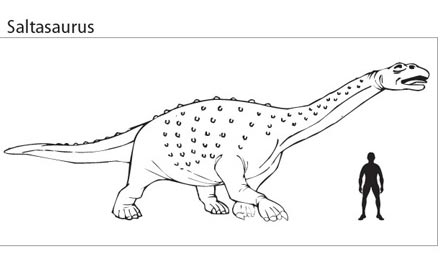 An illustration of a typical Titanosaur.