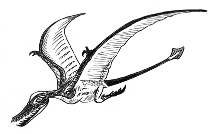 Rhamphorhynchus illustration