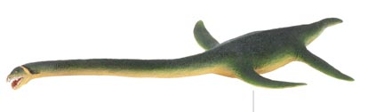 A typical Elasmosaurus model.