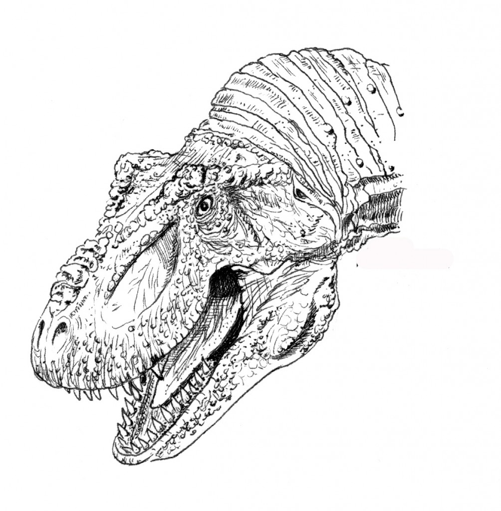 Tyrannosaurus rex head.