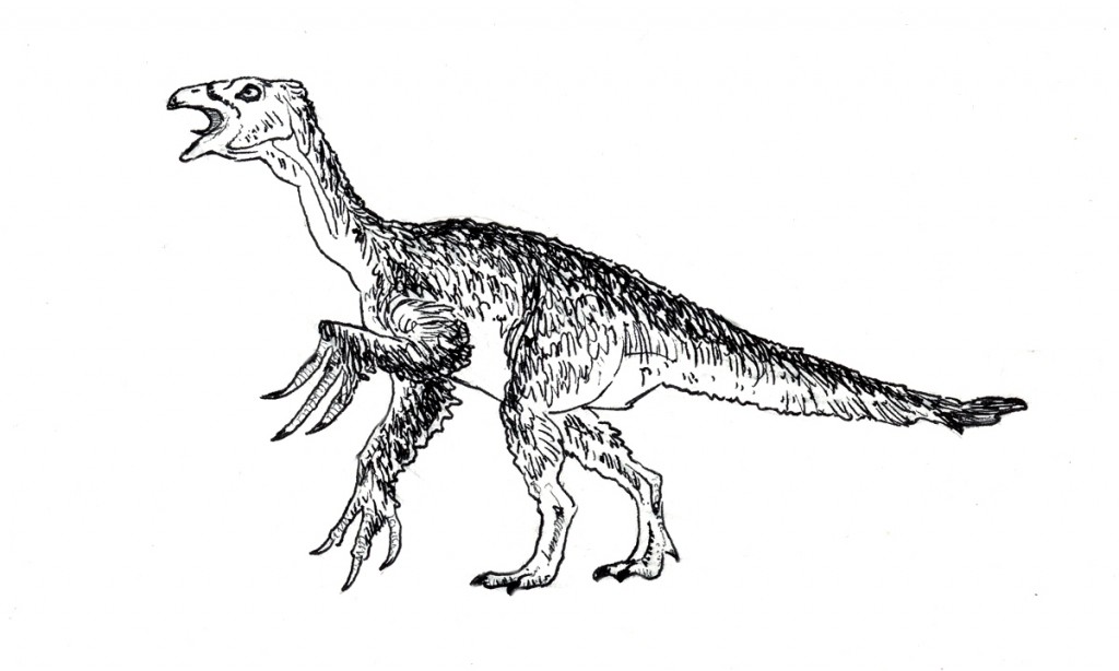 Drawing of a typical Therizinosaurus.