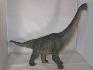 In our studio - Papo Brachiosaurus.