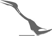 Eurazhdarcho Pterosaur diagram showing fossil finds.