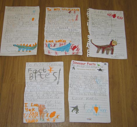 Katie's Dinosaur Fact Cards.
