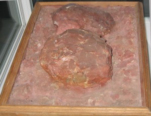 An example of Titanosaur fossil eggs.