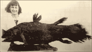The discovery of the Coelacanth in 1938.