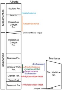 Stratigraphic distribution of Campanian-Maastrichtian Ankylosaurid species.