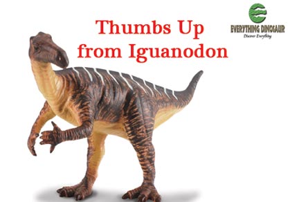 Iguanodon thumbs up!