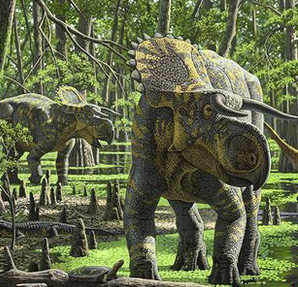 Nasutoceratops -  a Centrosaurine dinosaur from Utah