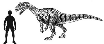 Late Jurassic Theropod