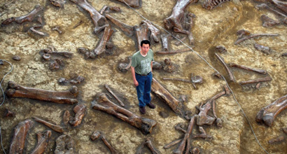 The enormous amount of dinosaur fossils in Eastern China.