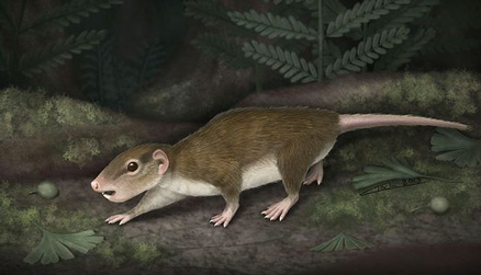 An illustration of an ancient mammal.
