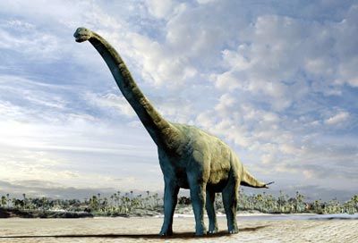 Spinophosaurus dinosaur life reconstruction.