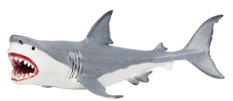 C. megalodon replica available in 2014.