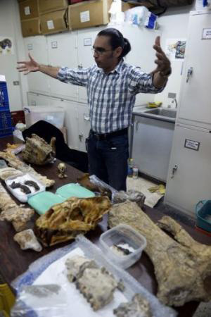 An extensive collection of fossil finds.