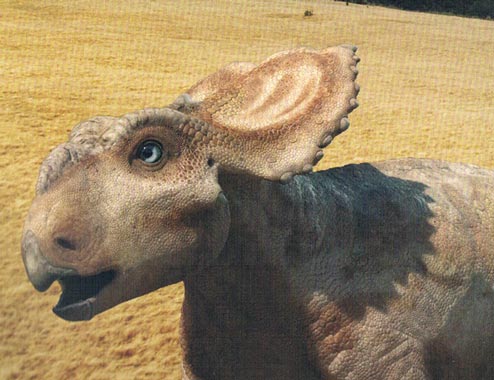 A blue-eyed, horned dinosaur.