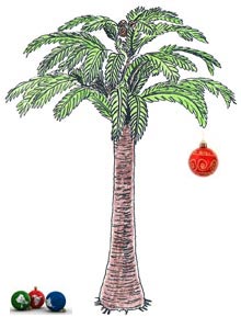 Prehistoric Plants get ready for Christmas