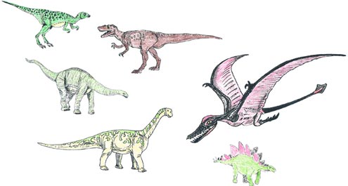 A "selection box" of prehistoric animal drawings.