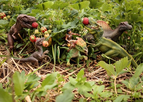 Dinosaurs and other models from Schleich help themselves to strawberries.