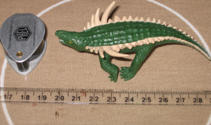 A model of an Aetosaur (ruler provides scale)