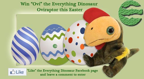 Visit Everything Dinosaur's Facebook Page, give our page a "like", leave a comment suggesting a surname for "Ovi".