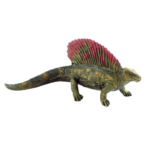 Wide-bodied Edaphosaurus a herbivorous sail-backed reptile.