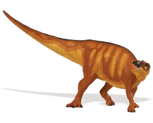 Edmontosaurus a member of the Hadrosaurine group of duck-billed dinosaurs.