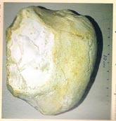 Oldowan stone tool (2.6 mya to 1.7 mya).