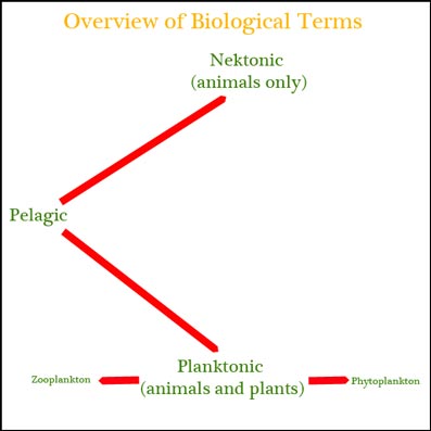 Defining biological terms.