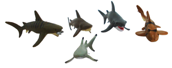 Sharks - a diverse group with over 470 extant species.
