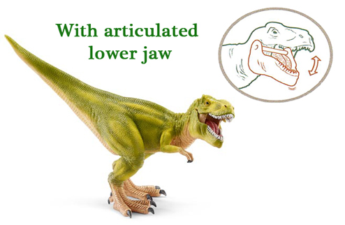 A moveable lower jaw on this T. rex dinosaur model.