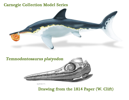 The illustration from the paper and a model interpretation of a "Fish Lizard"