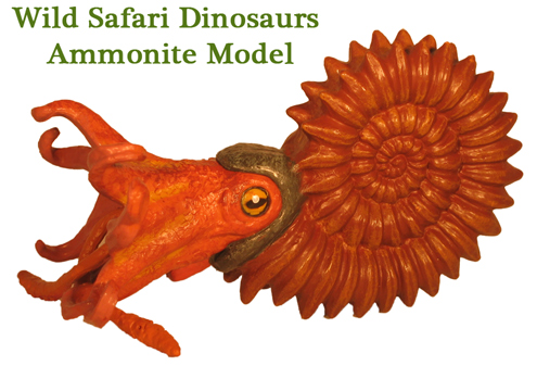A super model of an Ammonite.