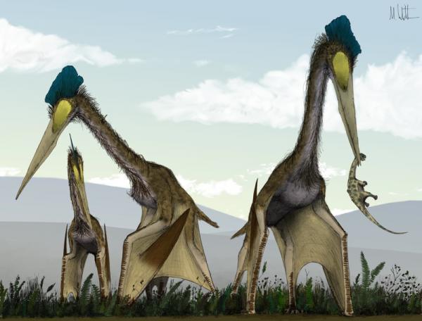 A group of azhdarchid Pterosaurs hunting.