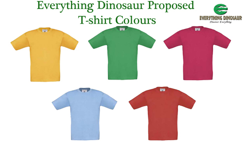 Five colours for the T-shirts being considered.