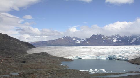 Retreating glacier reveals fossil remains.