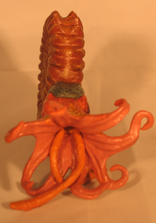 Eight arms and two grasping tentacles.
