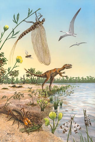 A mayfly rests on a primitive flowering plant - a Cretaceous scene.
