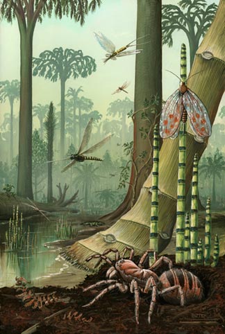 By the Carboniferous the insects were already highly diversified.
