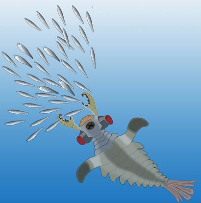Artist's impression of Lyararapax, one of the species of the world's first predators, the anomalocaridids, chasing its possible prey, primitive fishes that also existed in the Lower Cambrian